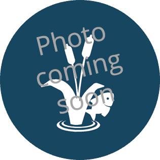 photo-coming soon