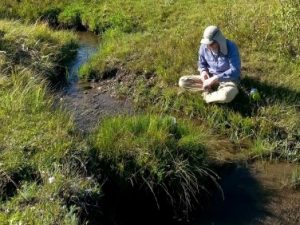 creek restoration work, aquatic restoration