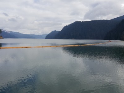 JuvenileSalmondCollector_Full juvenile salmon collector, environmental consulting services