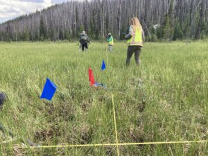 Watershed and Habitat Science