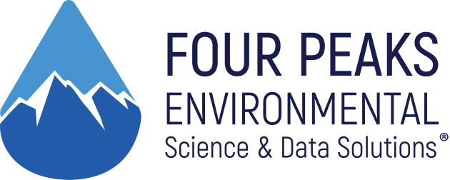 footer-logo